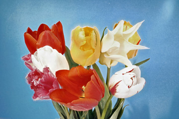 Blumenstrauss mit Tulpen in verschiedenen Farben