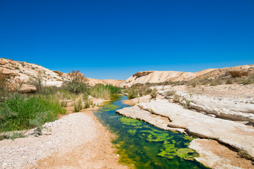 Water in the desert of Negev, Israel