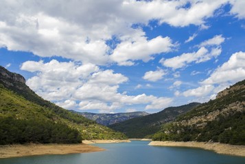 Naklejka na ściany i meble Pantano