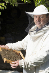 Beekeeper photos, royalty-free images, graphics, vectors & videos ...