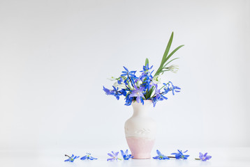Still life with spring blue flowers