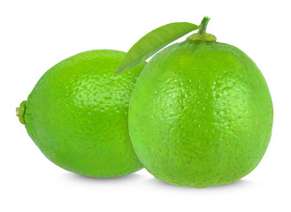 lime and leaf