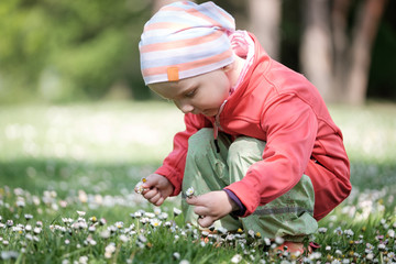 blumen pflücken © Superingo