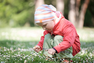 blumen pfl&uuml;cken