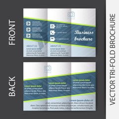 Business tri-fold brochure vector design