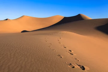 Fotobehang voetafdrukken op het hete zand in de woestijn © alekseal