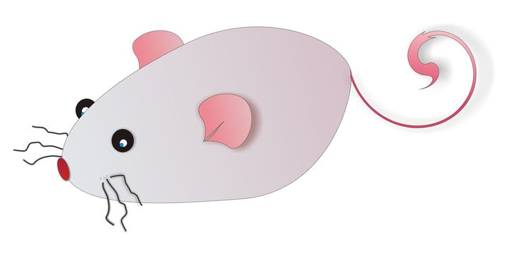topolino