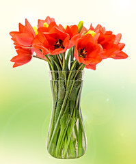 Red tulips flowers in a transparent vase, gradient background