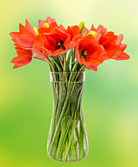 Red tulips flowers in a transparent vase, gradient background