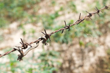 Barbed wire fence