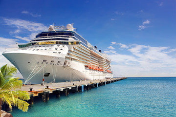 Fototapeta premium Luxury Cruise Ship in Port