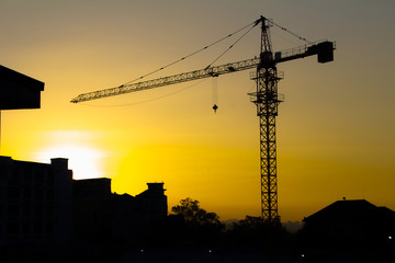 crane silhouette twilight