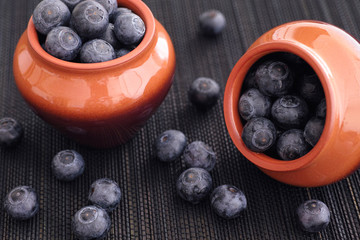 Blueberries in the clay pots