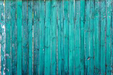 Green fence texture