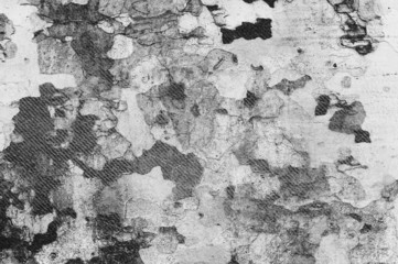 black and white background