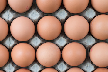 Free range eggs, food market display