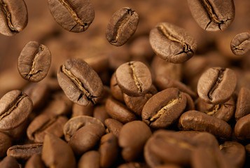 Closeup of coffee beans with focus on one