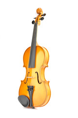 violin on white background - 82863889