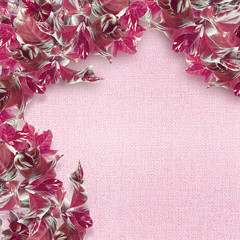Pink  leaves border