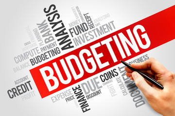 BUDGETING word cloud, business concept