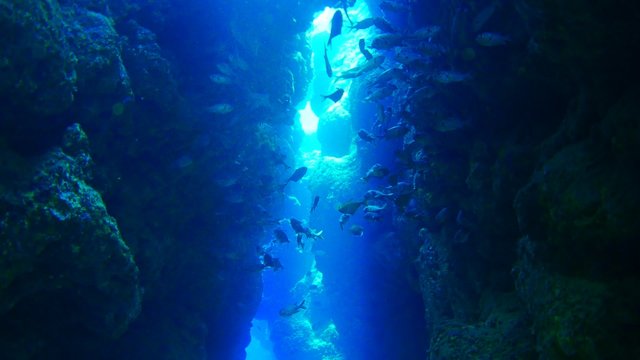Cave underwater Adventure world