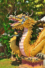 Obraz premium Dragon statue at temple wall