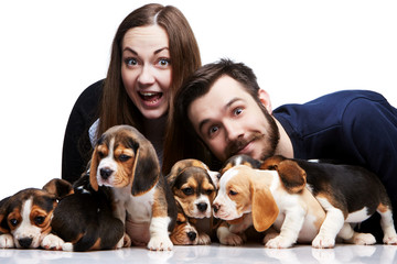 The man, woman and big group of a beagle puppies