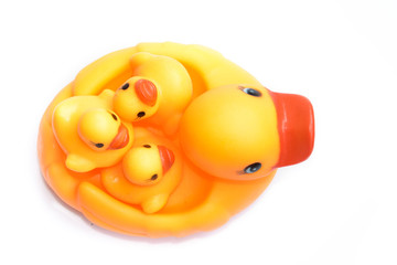 Yellow rubber duck