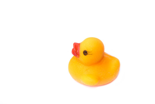 Yellow rubber duck