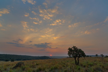 African Sunset
