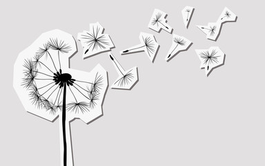 silhouettes of dandelion in the wind