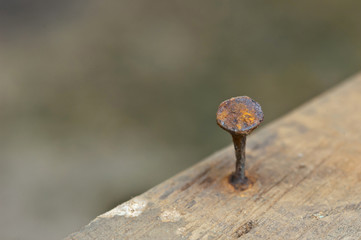 Old nail on wood macro