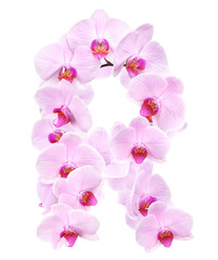 Fototapeta na wymiar letter R from orchid flowers
