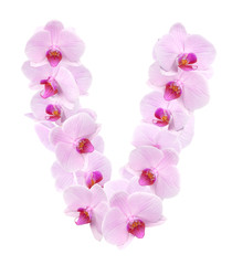 Fototapeta na wymiar letter V from orchid flowers