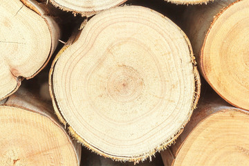 Cross section of the timber, firewood stack for the background