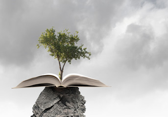 Reading develops imagination