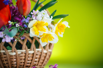 beautiful bouquet of spring flowers,