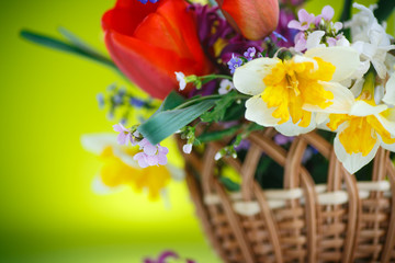 beautiful bouquet of spring flowers,