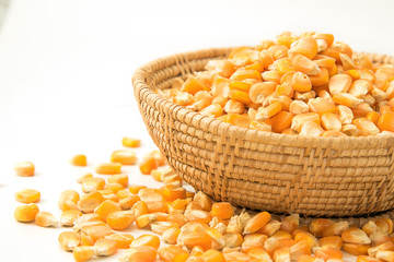 Corn seed on wooden dish isolated