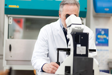 Naklejka na ściany i meble Scientist conducting research looking through microscope