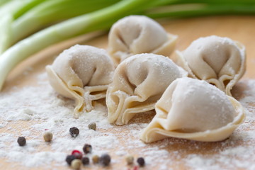 Fototapeta na wymiar Homemade uncooked dumplings with meat