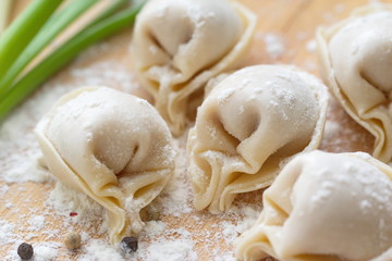 Homemade uncooked dumplings with meat