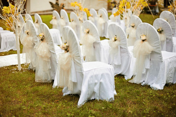 Beautiful wedding cerremony in forest.