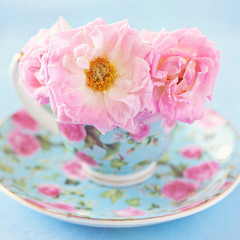  Pink roses in a beautiful blue cup on a table.