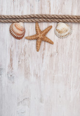 Fototapeta na wymiar Seashells and rope on the old wood. Marine background