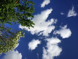 Obraz premium Wolkenreich