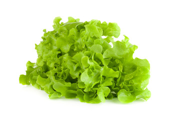 green salad isolated on a white background