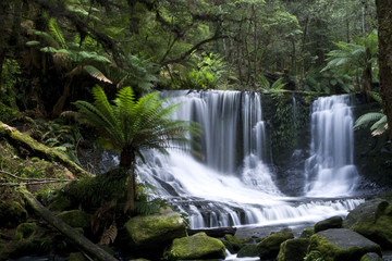 Waterfall in Tasmanian Rainforest