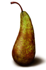 Vintage ripe green brown pear