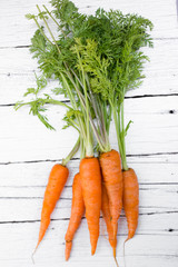 Fresh organic carrots.